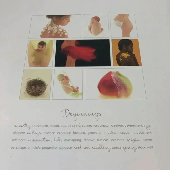 Coffee Table Book ANNE GEDDES Beginnings Nature Transformation Babies Pregnancy - Picture 6 of 7